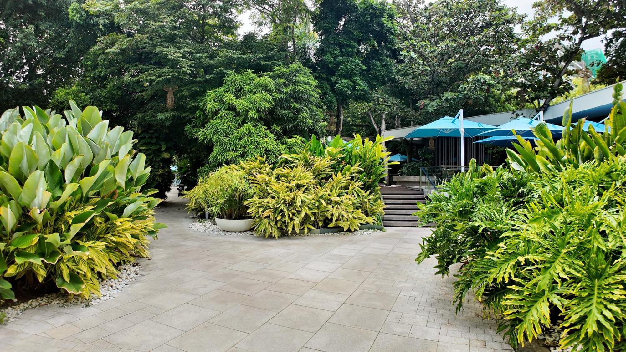 Dominiks Quite And Elegant Studio Ocean View Pool At Tambuli Resort High Floor Isla de Mactán Exterior foto
